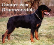 donner_vom_brunnenweible.jpg