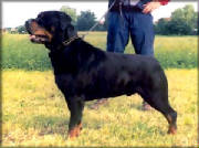 matcho-von-burgthann2.jpg